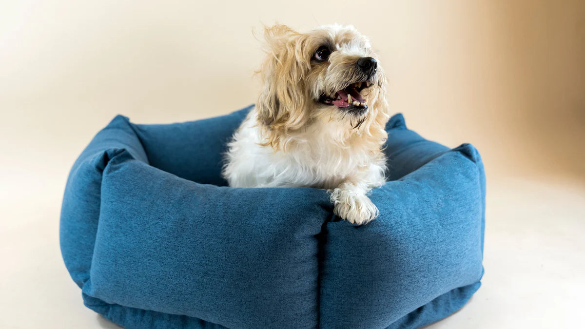 The Nest - Hundebett Kieferngrün – Detailansicht 3
