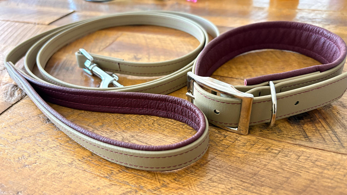 City Leine & Halsband Set – Handgefertigt aus BioThane & Leder | LunaDogs