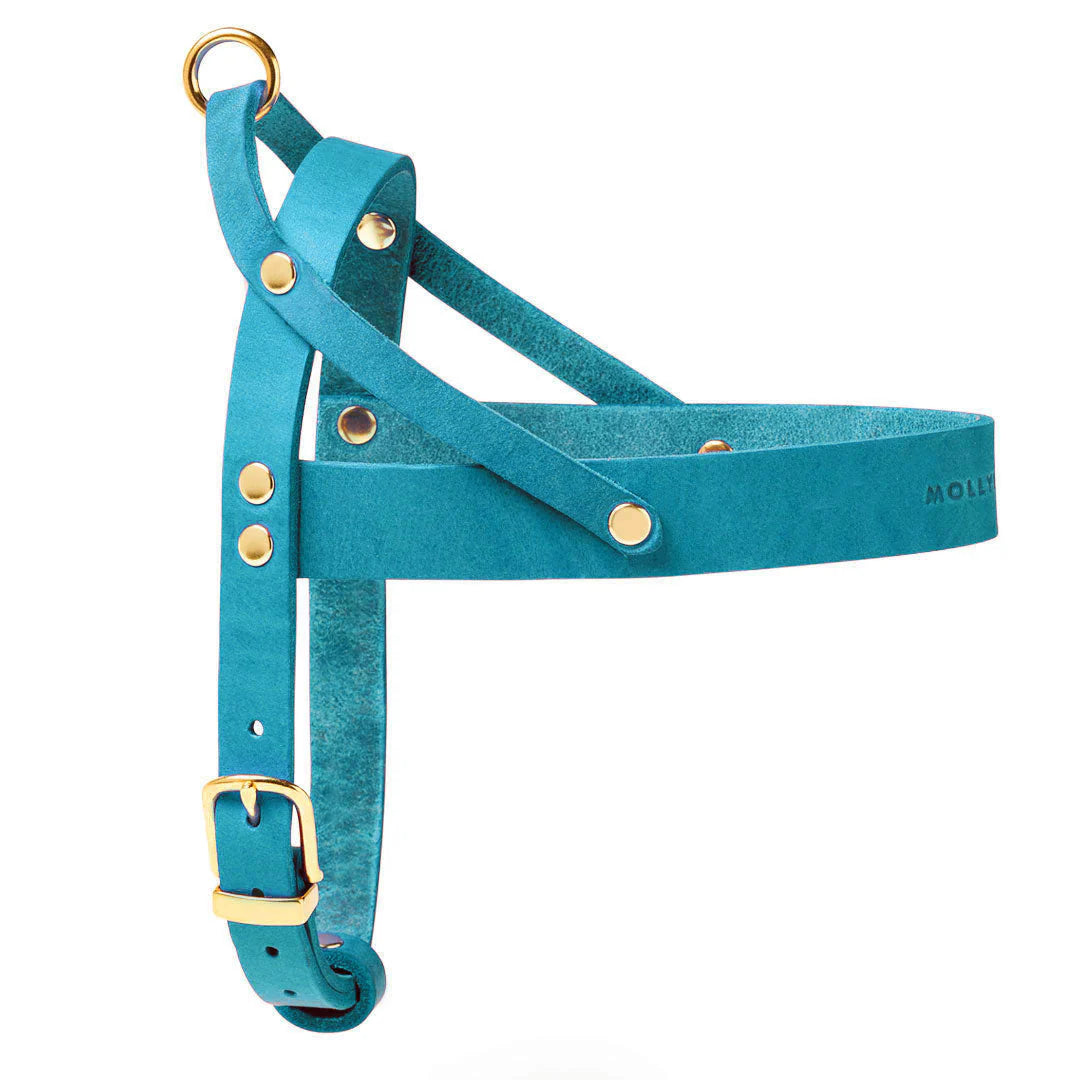 Butter Leder Hundegeschirr - Fiji Blau – Detailansicht 2