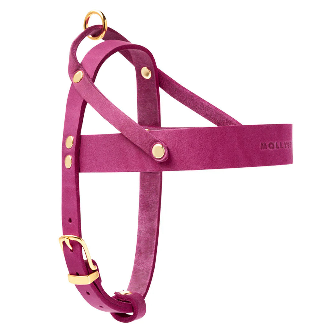 Butter Leder Hundegeschirr - Flamingo – LunaDogs Schweiz