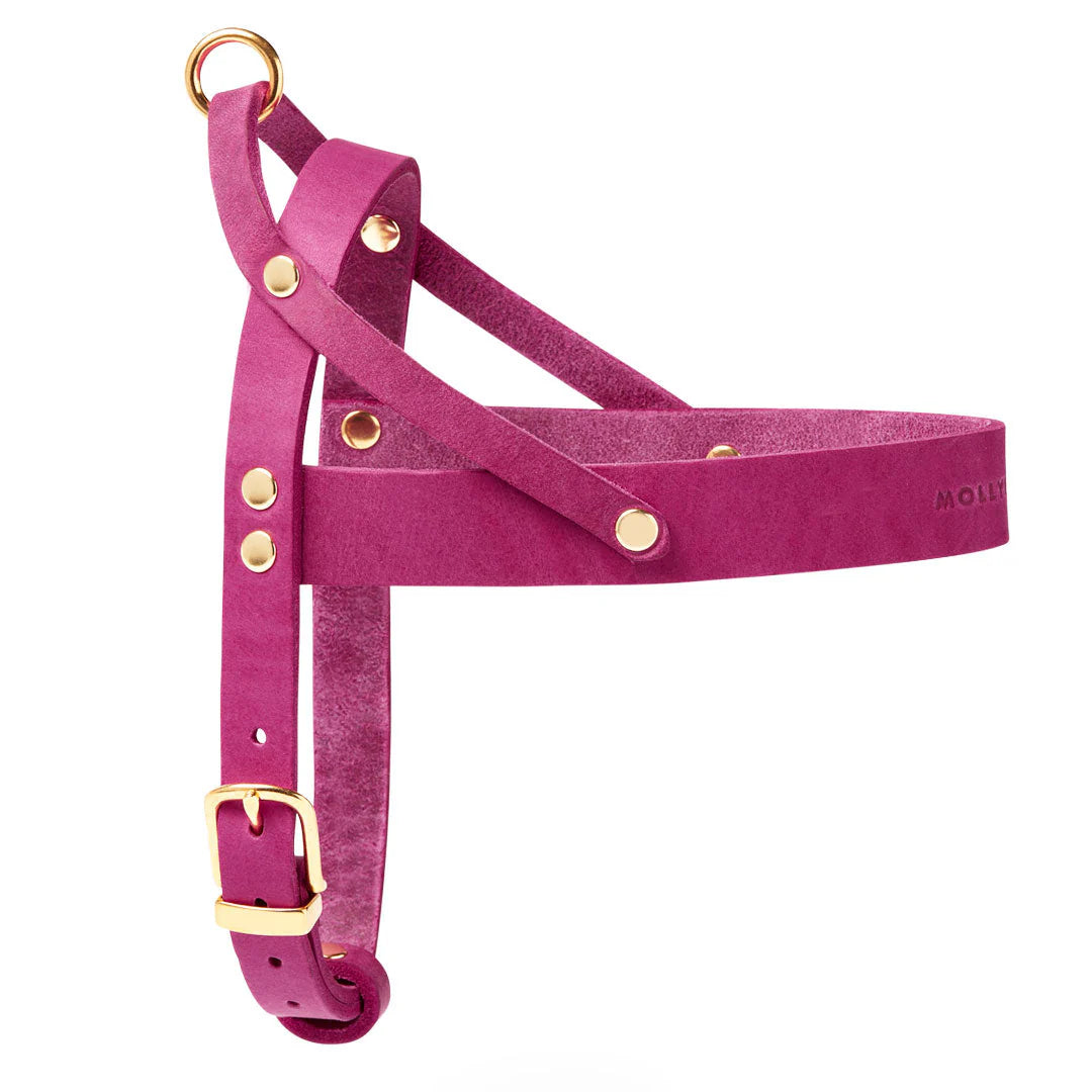 Butter Leder Hundegeschirr - Flamingo – Detailansicht 2