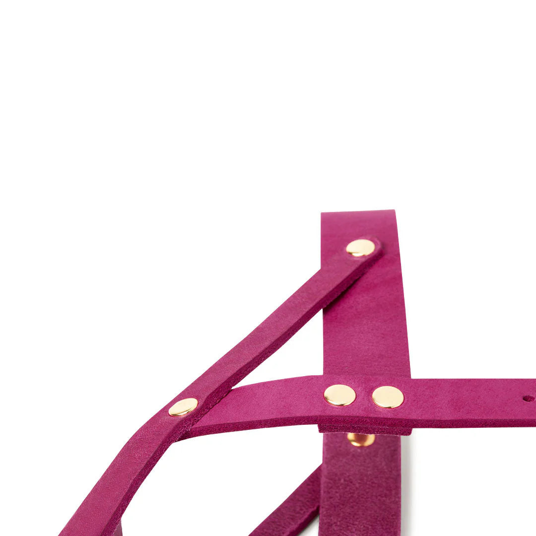Butter Leder Hundegeschirr - Flamingo – Detailansicht 3