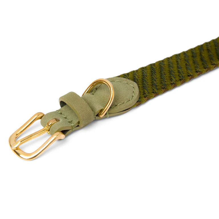 Serrana Hundehalsband - Moos – Detailansicht 2