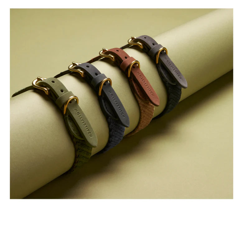 Serrana Hundehalsband - Moos – Detailansicht 3
