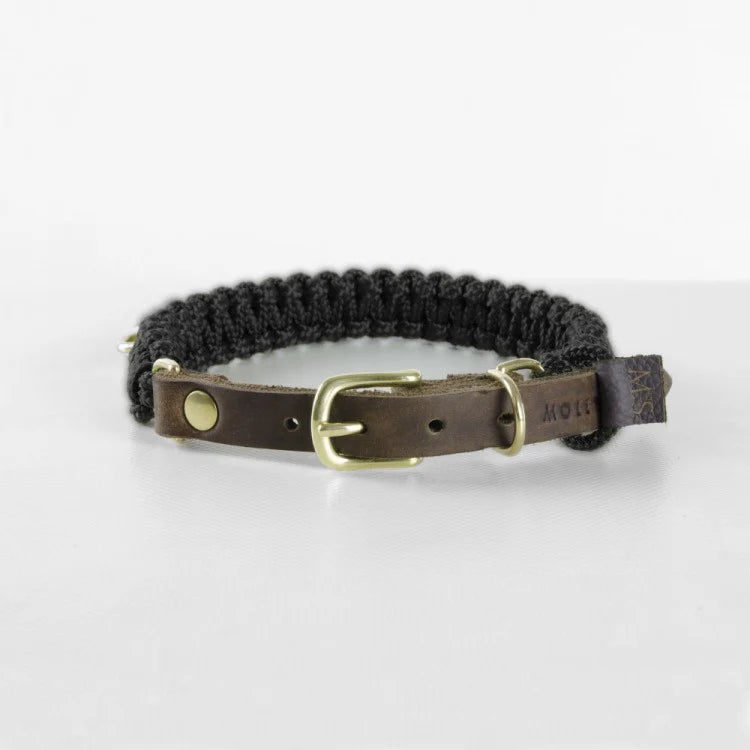 Touch of leather Hundehalsband - Nero – LunaDogs Schweiz