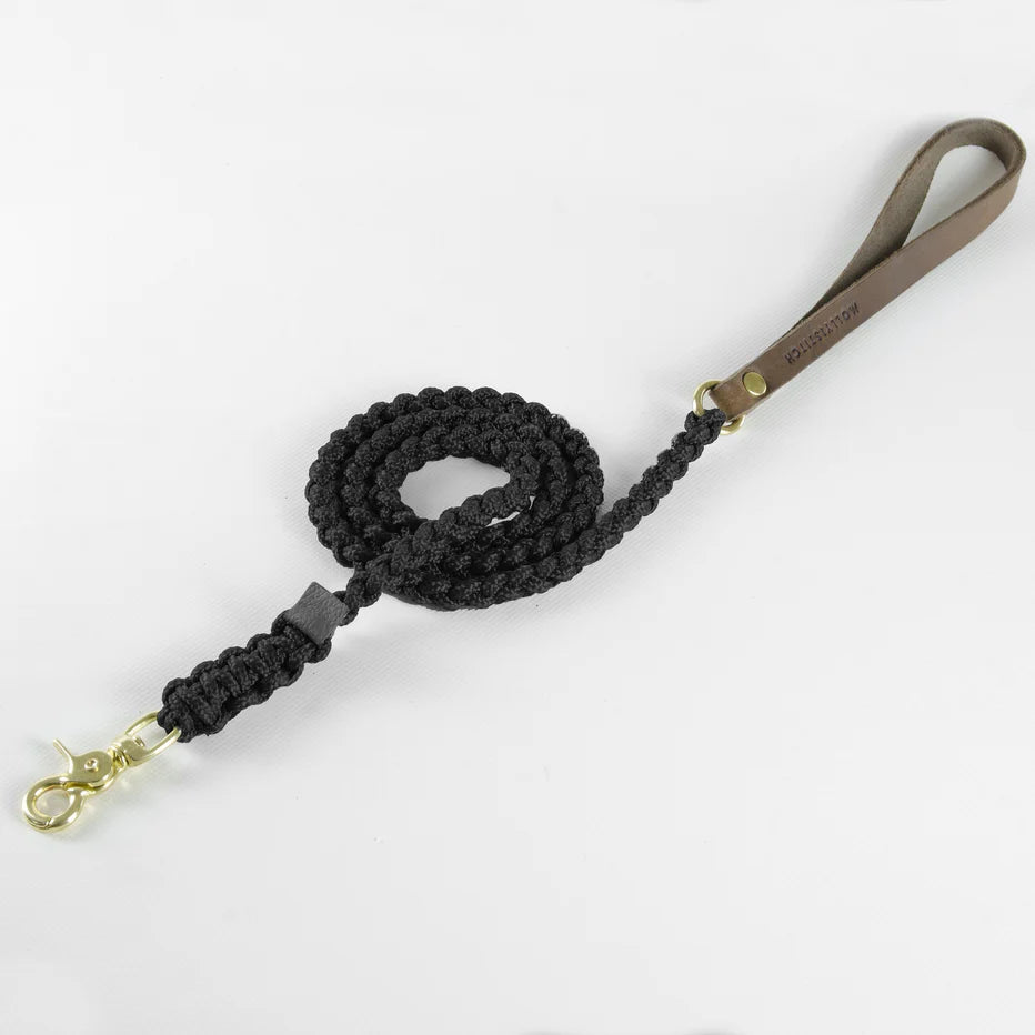 Touch of Leather Hundeleine - Nero – LunaDogs Schweiz