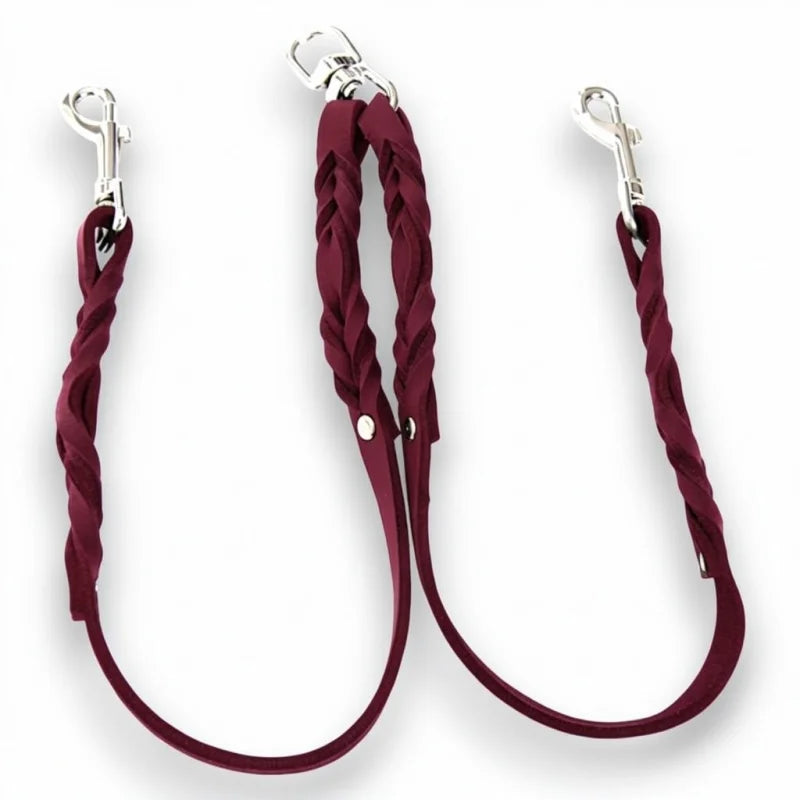 Premium Zwillingsleine aus Fettleder für Hunde | Hochwertige Hundeleine & Hundehalsband | LunaDogs