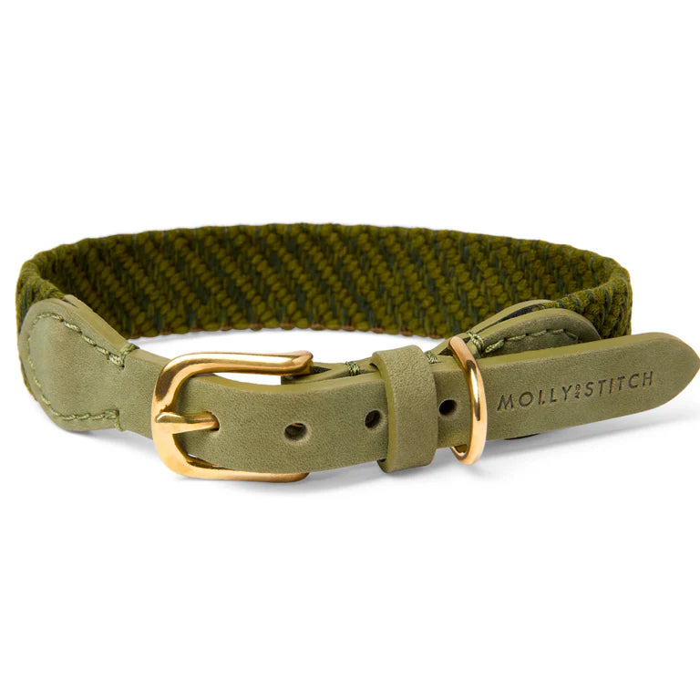 Serrana Hundehalsband - Moos – LunaDogs Schweiz