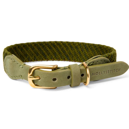 Serrana Hundehalsband - Moos – LunaDogs Schweiz