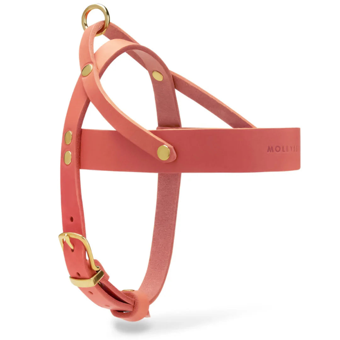 Butter Leather Dog Harness - Coral Pink – Detailansicht 2