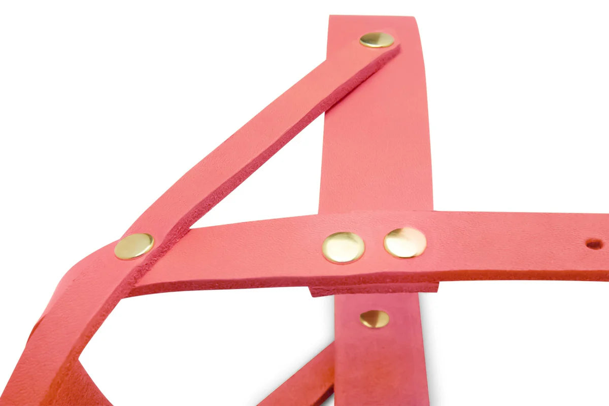 Butter Leather Dog Harness - Coral Pink – Detailansicht 3