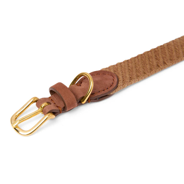 Serrana Hundehalsband - Whisky – Detailansicht 2