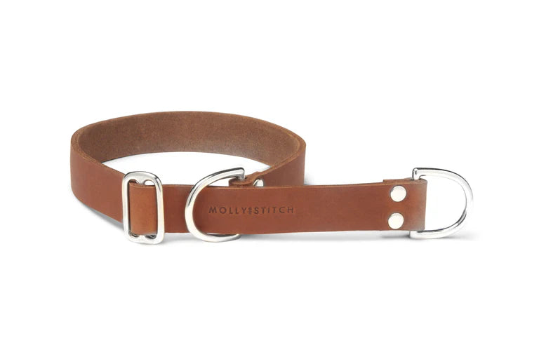 Butter Leder Retriever Hundehalsband - Sahara Cognac – LunaDogs Schweiz