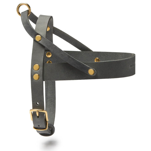Butter Leder Hundegeschirr - Zeitloses Grau – LunaDogs Schweiz