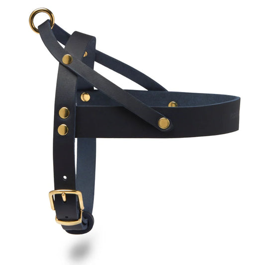 Butter Leder Hundegeschirr - Navy Blau – LunaDogs Schweiz