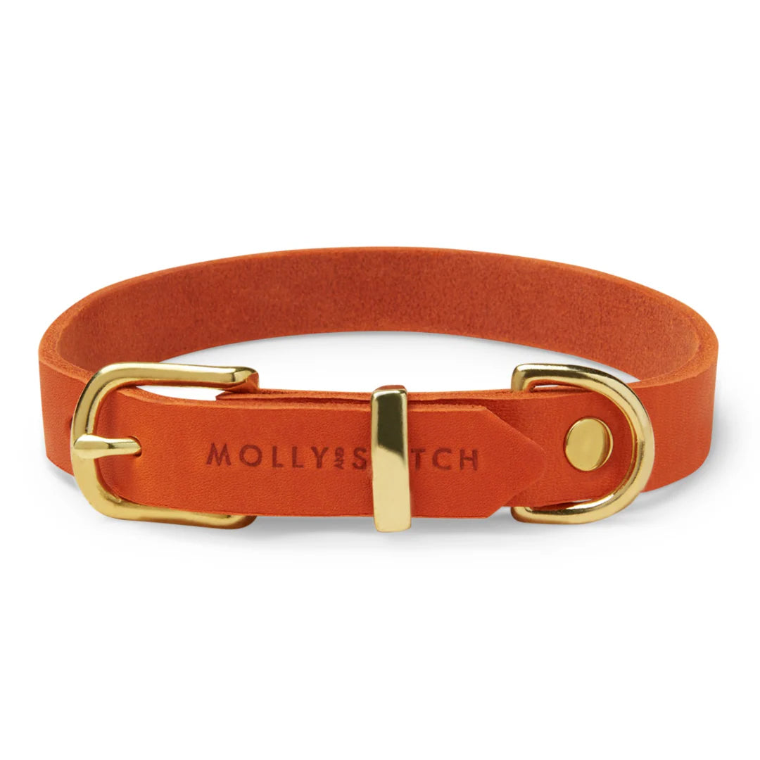 Butter Leder Hundehalsband - Mango – Detailansicht 2