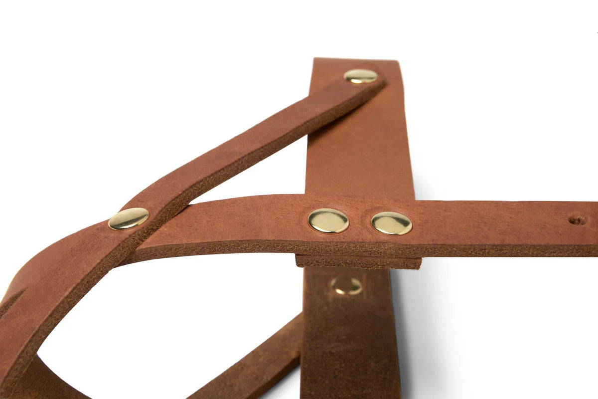 Butter Leder Hundegeschirr - Sahara Cognac – Detailansicht 3