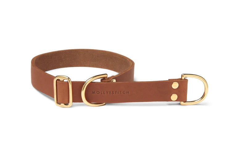 Butter Leder Retriever Hundehalsband - Sahara Cognac – Detailansicht 2