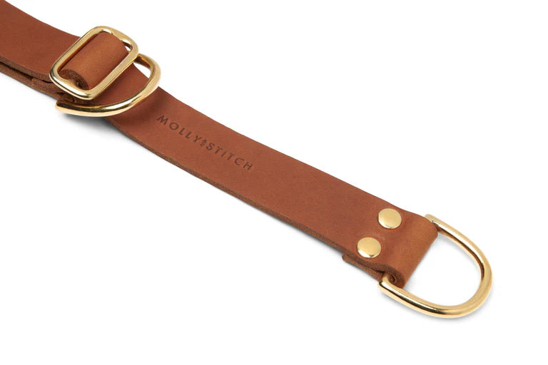 Butter Leder Retriever Hundehalsband - Sahara Cognac – Detailansicht 3