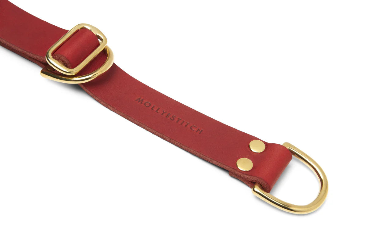 Butter Leather Retriever Hundehalsband - Chilirot – Detailansicht 2
