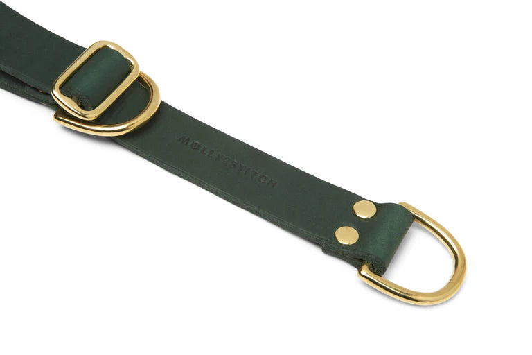 Butter Leather Retriever Hundehalsband - Wald Grün – Detailansicht 2