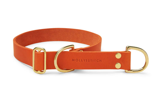 Butter Leder Hundehalsband - Mango – LunaDogs Schweiz