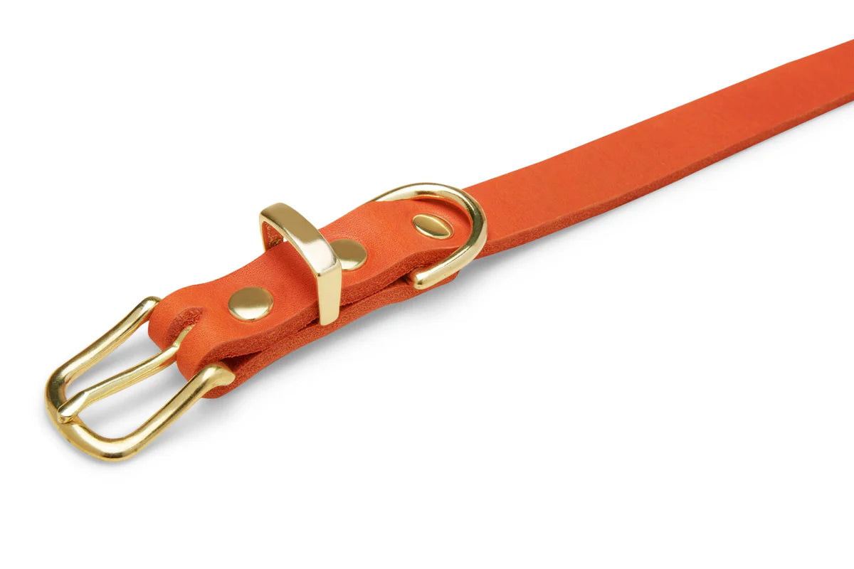 Butter Leder Hundehalsband - Mango – Detailansicht 3