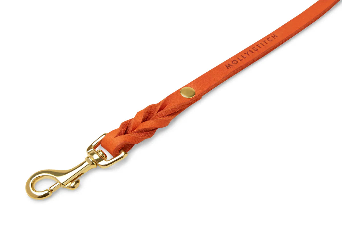 Butter Leather City Hundeleine - Mango – Detailansicht 3