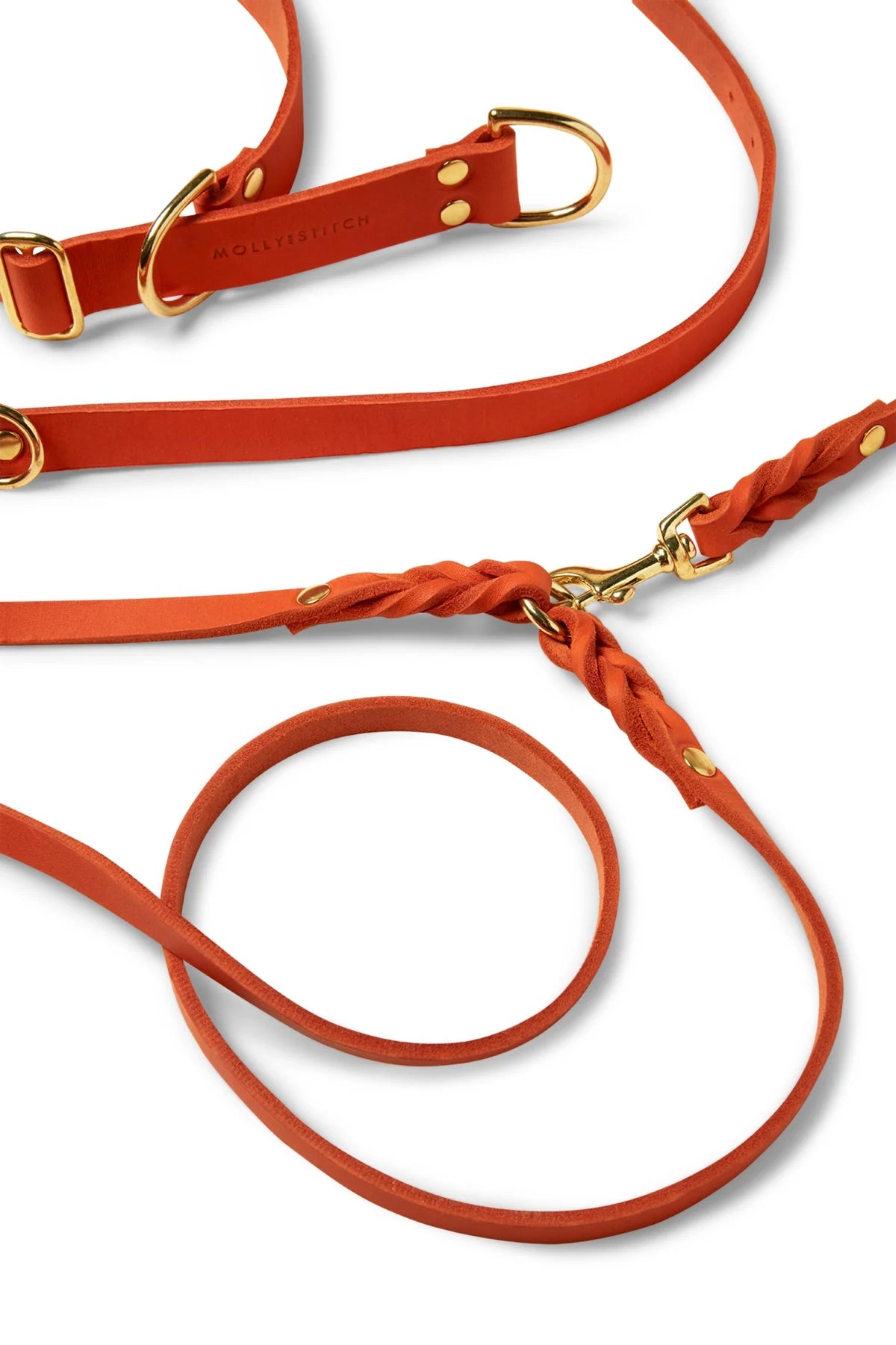 Butter Leather City Hundeleine - Mango – Detailansicht 2