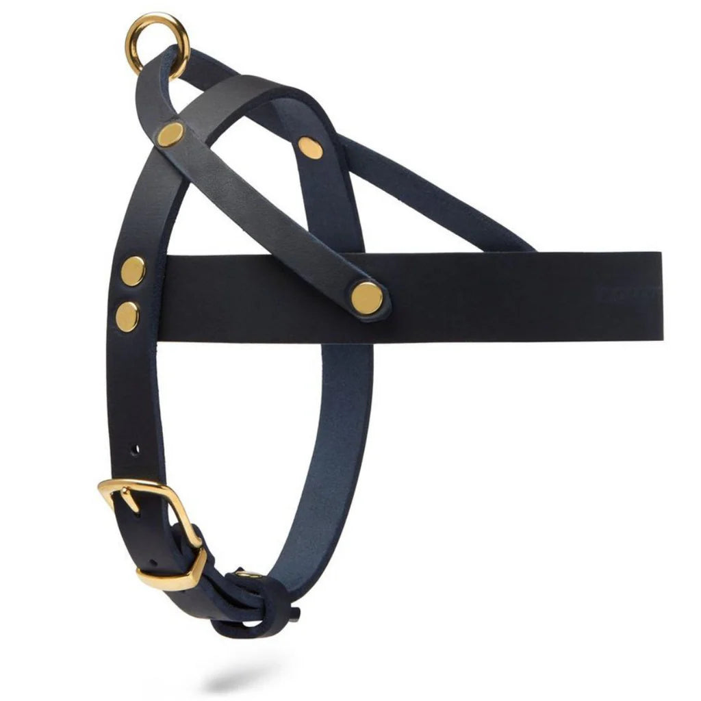 Butter Leder Hundegeschirr - Navy Blau – Detailansicht 2
