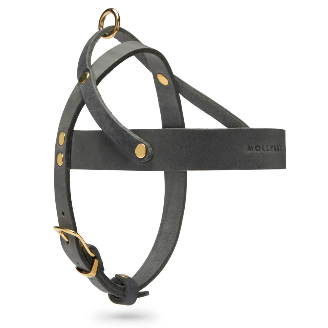 Butter Leder Hundegeschirr - Zeitloses Grau – Detailansicht 2