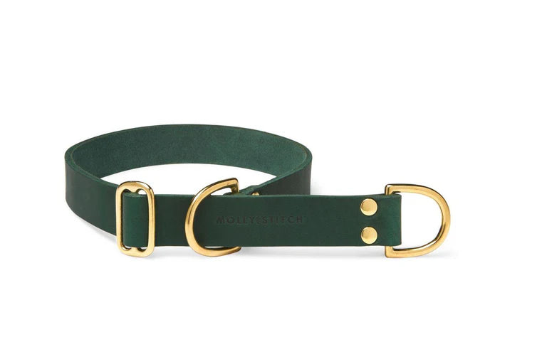 Butter Leather Retriever Hundehalsband - Wald Grün – LunaDogs Schweiz