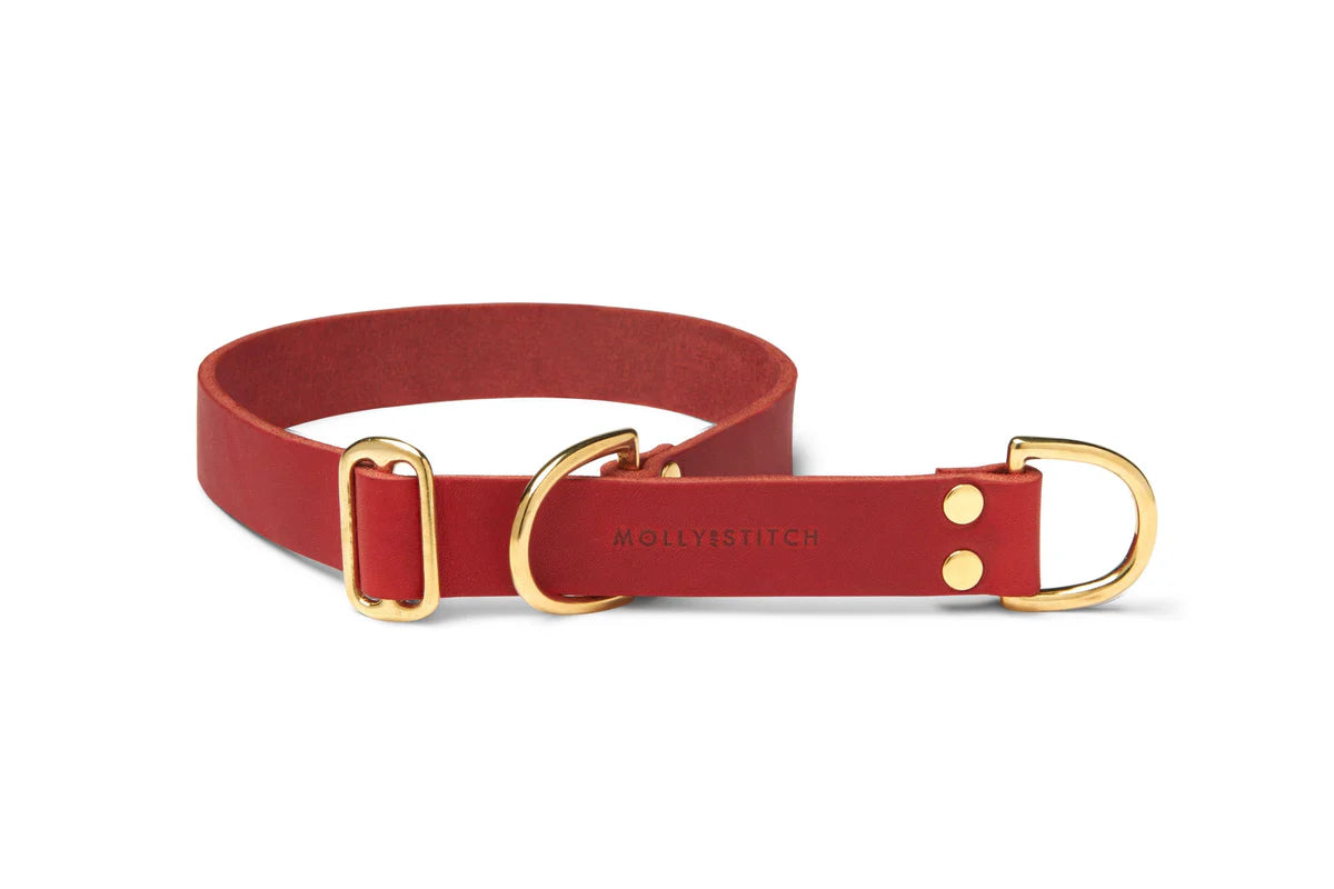 Butter Leather Retriever Hundehalsband - Chilirot – LunaDogs Schweiz