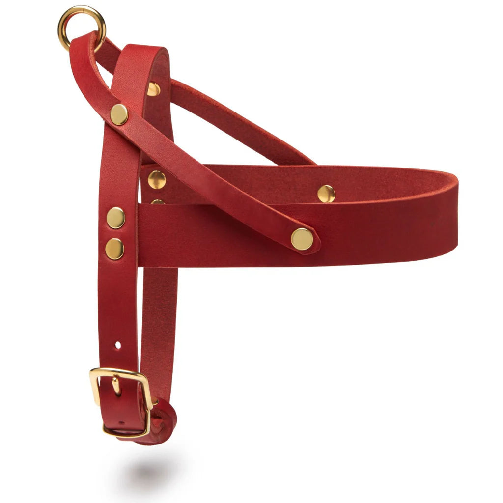 Butter Leder Hundegeschirr - Chili Rot – LunaDogs Schweiz