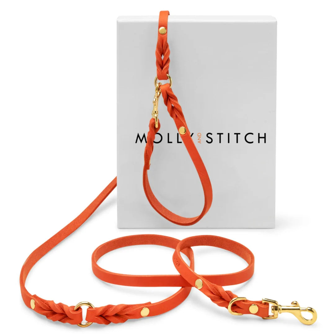Butter Leather City Hundeleine - Mango – LunaDogs Schweiz