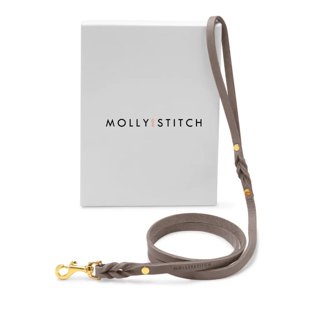 Butter Leather City Dog Leash - Taupe – LunaDogs Schweiz