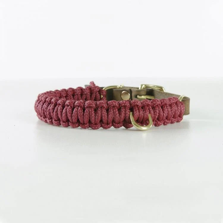 Touch of Leather Hundehalsband - Rotwein – Detailansicht 2