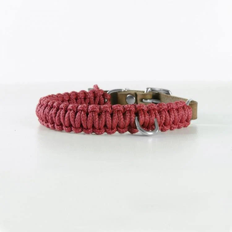 Touch of Leather Hundehalsband - Rotwein – Detailansicht 3