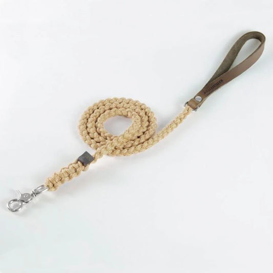 Touch of Leather Hundeleine - Beige – LunaDogs Schweiz