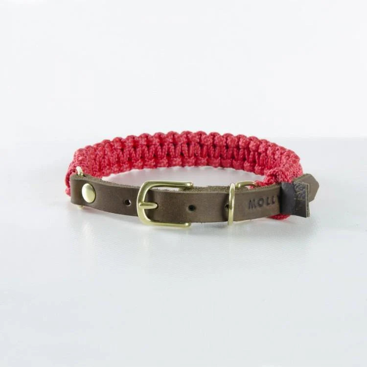 Touch of leather Hundehalsband - Lipstick – LunaDogs Schweiz