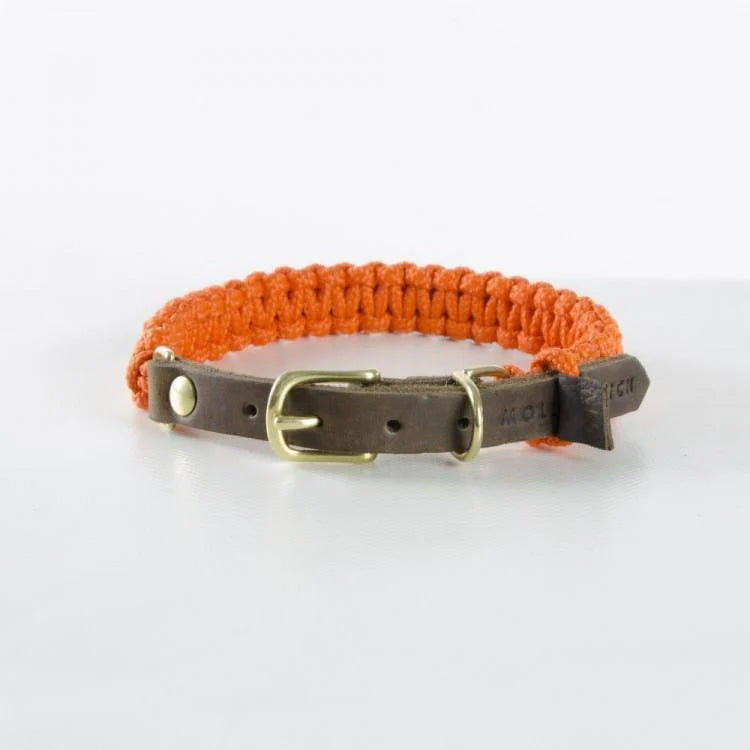 Touch of leather Hundehalsband - Pumpkin – LunaDogs Schweiz