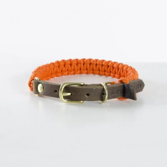 Touch of leather Hundehalsband - Pumpkin – LunaDogs Schweiz